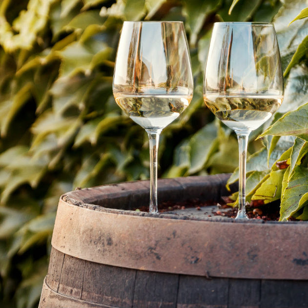 fattori che influenzano la qualità del vino