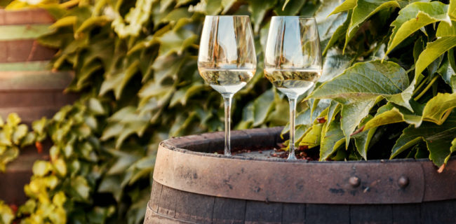 fattori che influenzano la qualità del vino fattori che influenzano la qualità del vino