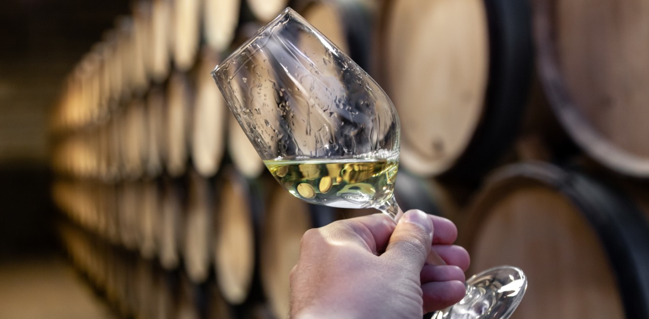 Chardonnay vino Chardonnay vino