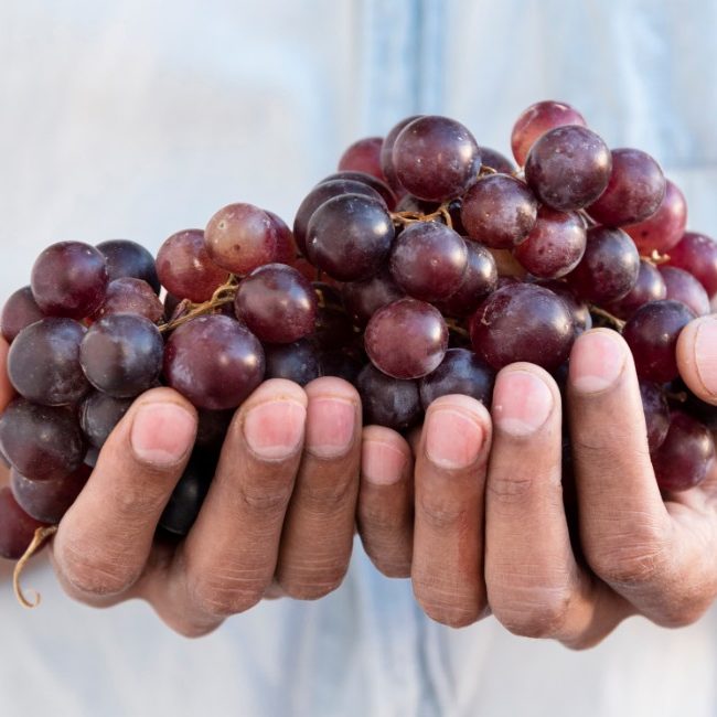 vitigni rossi piu famosi