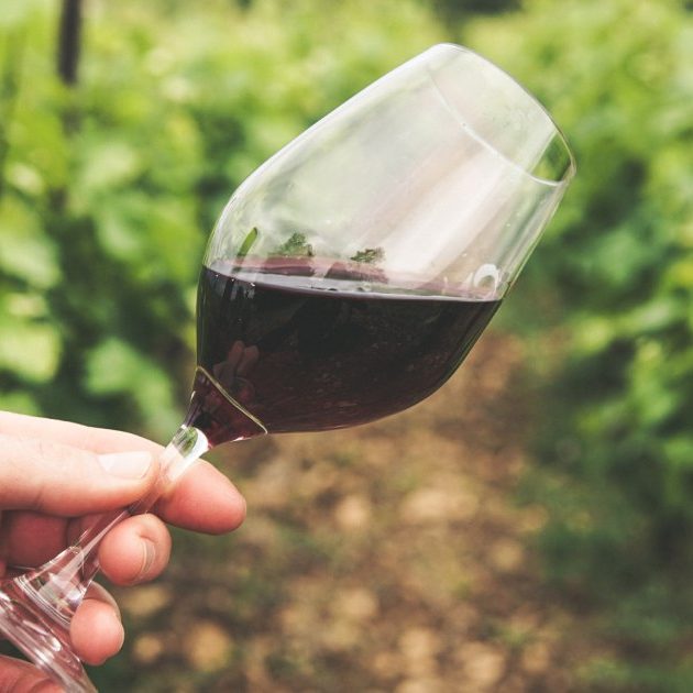 Enologia - Enoteca Innusa