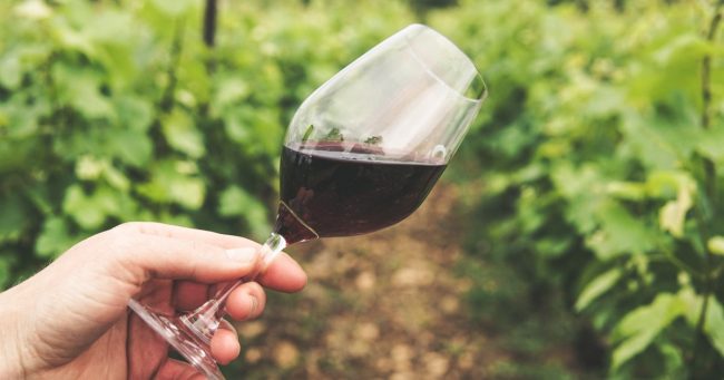 Enologia – Enoteca Innusa Enologia - Enoteca Innusa