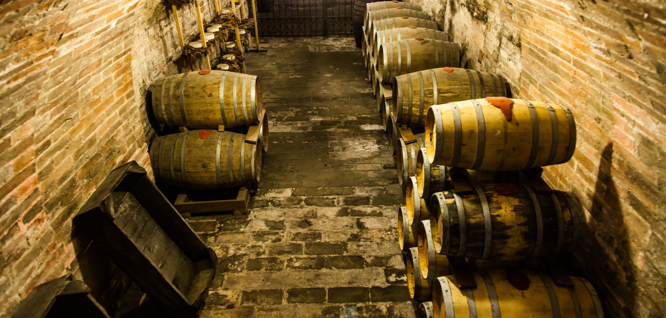 vini abruzzo vini abruzzo