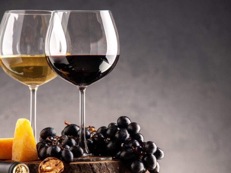 vini calabresi vini calabresi